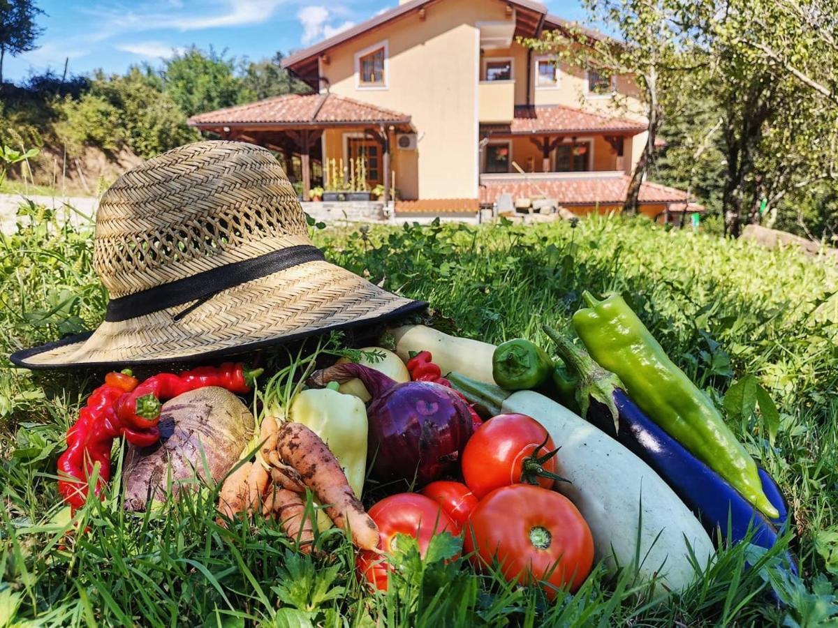 Farm Stay Peternelj Ilirska Bistrica Exteriér fotografie