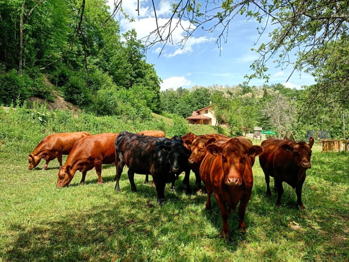 Farm Stay Peternelj Ilirska Bistrica Exteriér fotografie