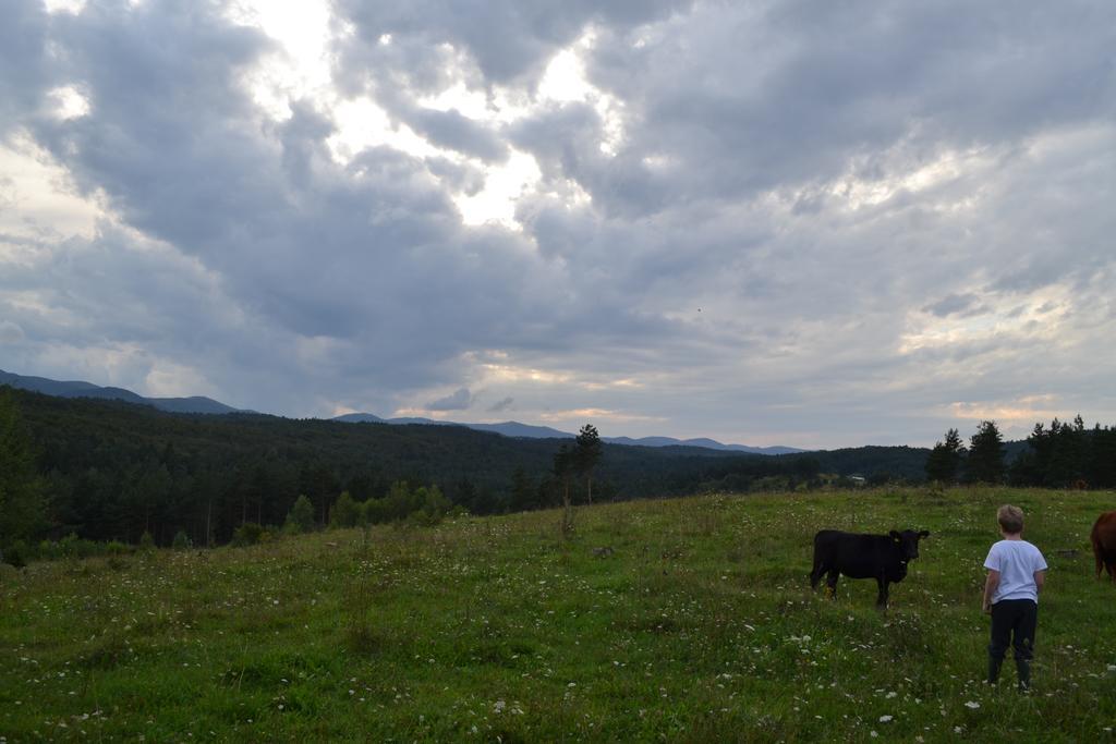 Farm Stay Peternelj Ilirska Bistrica Exteriér fotografie