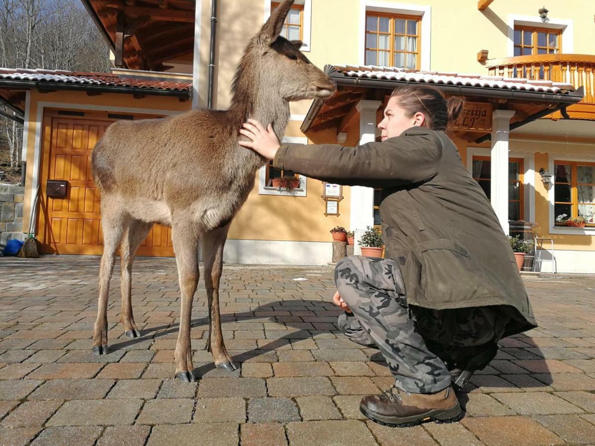 Farm Stay Peternelj Ilirska Bistrica Exteriér fotografie